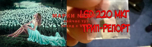 spice Пестово