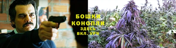 spice Пестово